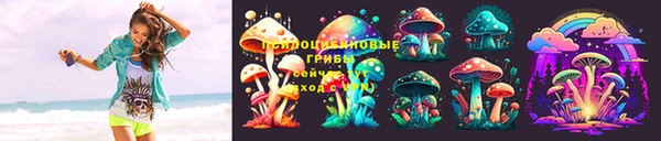 ГАЛЛЮЦИНОГЕННЫЕ ГРИБЫ Лабытнанги