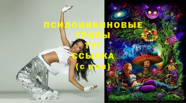ГАЛЛЮЦИНОГЕННЫЕ ГРИБЫ Лабытнанги