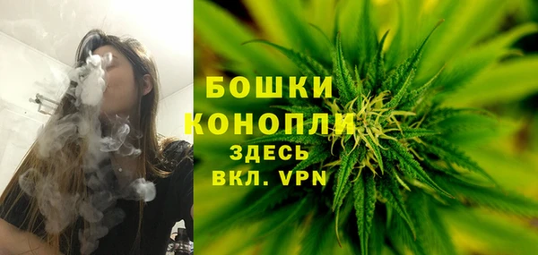 ГАЛЛЮЦИНОГЕННЫЕ ГРИБЫ Лабытнанги