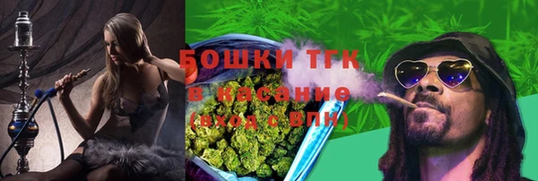 ГАЛЛЮЦИНОГЕННЫЕ ГРИБЫ Лабытнанги