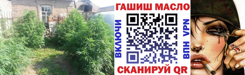 Купить где  Бологое  Дистиллят ТГК концентрат 