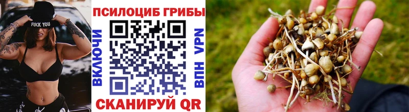 Купить закладки  Бологое  Псилоцибиновые грибы ЛСД 